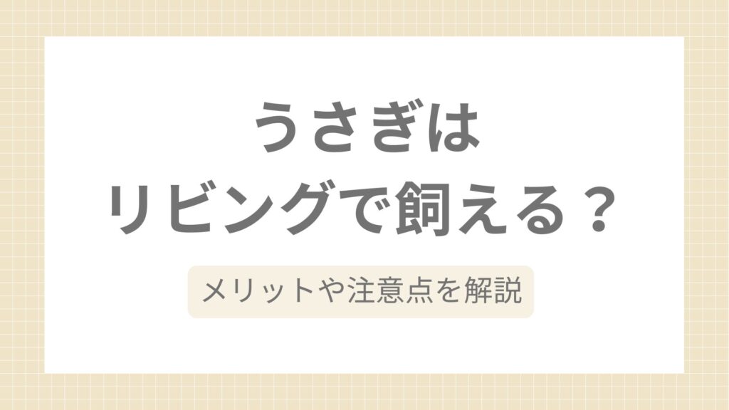 ｗｗｗｗｗｗｗｗ
